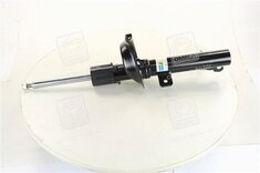 22-051219-BILSTEIN продаж в Україні за ціною - 2001 грн.